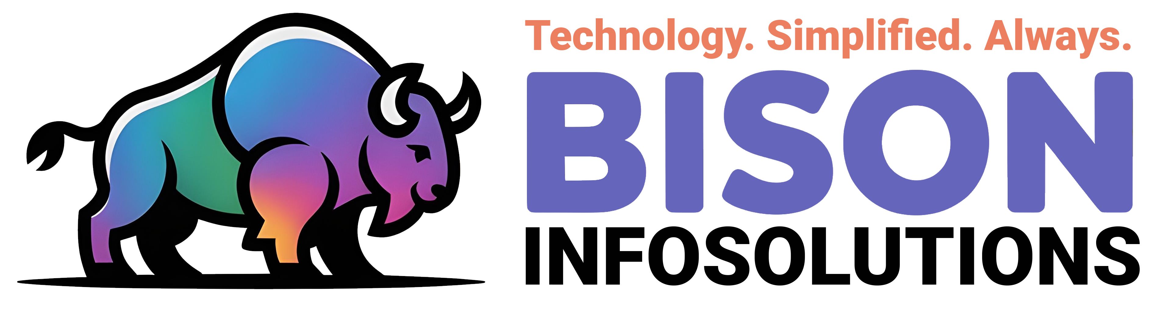 Bison Infosolutions